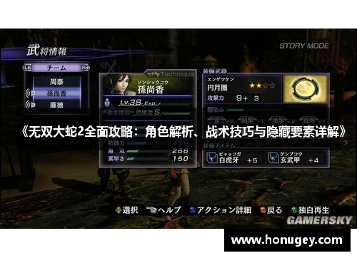 《无双大蛇2全面攻略：角色解析、战术技巧与隐藏要素详解》