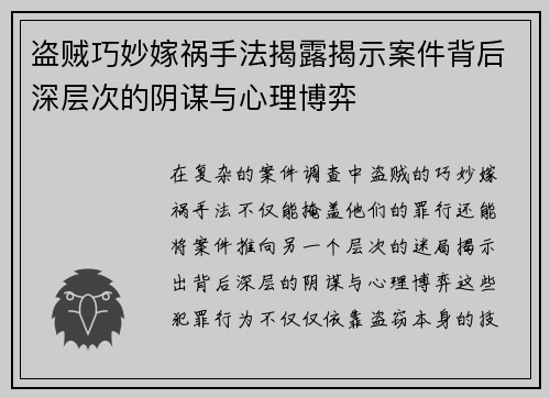 盗贼巧妙嫁祸手法揭露揭示案件背后深层次的阴谋与心理博弈