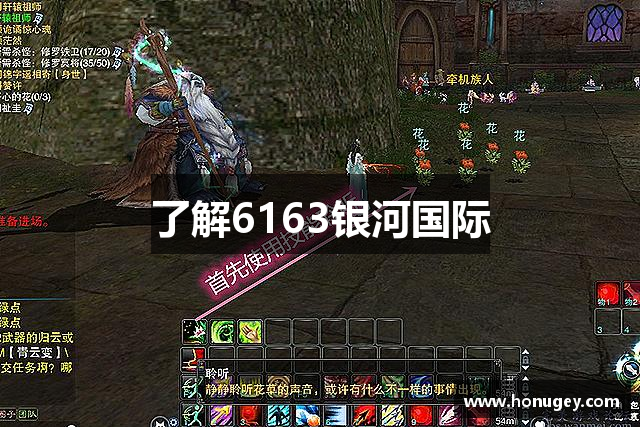 了解6163银河国际